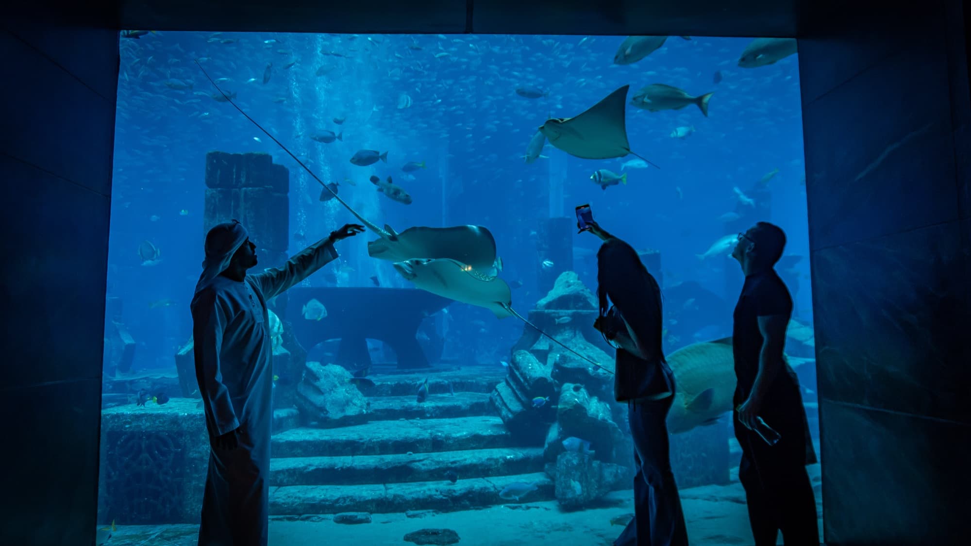 Visitors in the aquarium tunnel